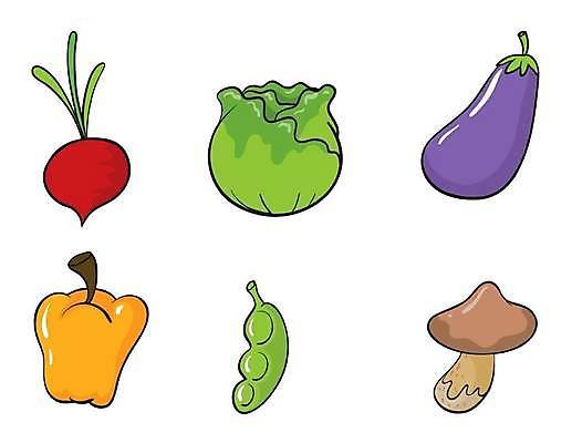 EPS 해외이미지 클립아트 음식 농업 다이어트 채소 일러스트 건강 그래픽 버섯 신선 맛 먹기 흰배경 그림 양배추 날것 비타민 고립 비트 식용 맛있는 해외일러스트 산업 백그라운드 컨셉 모션 흰색 영양소 파일형식 벡터 이미지허브