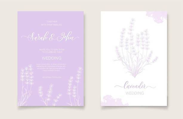 EPS 해외이미지 식물 결혼 일러스트 프레임 사람없음 세트 보라색 축하 분위기 감성 카피스페이스 해외일러스트 컬러 컨셉 이벤트 공백 파일형식 벡터 이미지허브