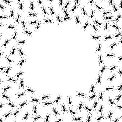 EPS 해외이미지 동물 실루엣 도로 길 선 여행 곤충 백그라운드 일러스트 자국 노동자 안내 주택 걷기 검은색 펼침 게임 흰색 업무 작업 원형 그룹 변화 해충 벌레 작음 만화 방향 언덕 개미 질서 고립 농약 방법 제어 줄서기 특별함 행진 국경 해외일러스트 도형 직업 컬러 컨셉 교통시설 모션 놀이 촬영기법 건물 예절 크기 파일형식 벡터 이미지허브