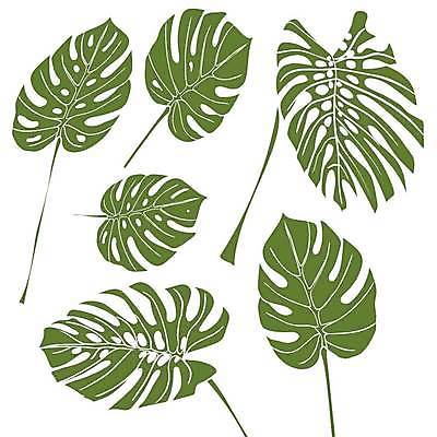 EPS 해외이미지 일러스트 사람없음 초록색 세트 몬스테라 엘리먼트 열대잎 트로피컬아트 해외일러스트 식물 컬러 잎 그림 파일형식 벡터 이미지허브