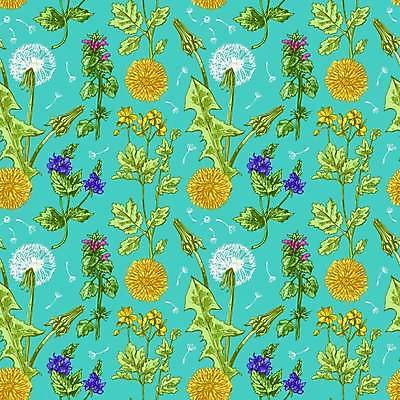 EPS 해외이미지 모양 식물 디자인 꽃 실루엣 백그라운드 잎 꽃무늬 패턴 일러스트 자연 벽지 추상 프레임 미술 그래픽 장식 정원 봄 낭만 수확 흰색 신용카드 화려 민들레 스케치 그림 복고 초대 손그림 엘리먼트 스타일 해외일러스트 계절 컬러 컨셉 무늬 농업 문화예술 촬영기법 금융 생태계 파일형식 벡터 이미지허브