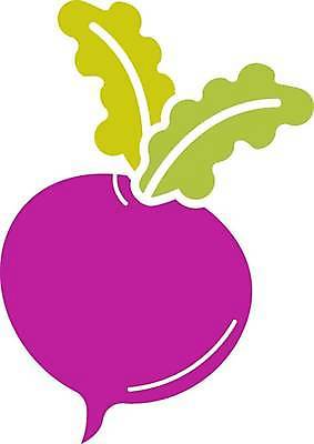 EPS 해외이미지 클립아트 디자인 실루엣 잎 일러스트 픽토그램 보라색 웹 금지 흰색 원형 클래식 심볼 사인 윤곽 뿌리 배지 고립 비트 상형문자 총각무 해외일러스트 도형 식물 문자 컬러 컨셉 인터넷 채소 촬영기법 무 파일형식 벡터 이미지허브