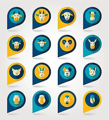 EPS 해외이미지 말풍선 여러마리 일러스트 염소 오리 사람없음 세트 농장 고양이 토끼 닭 양 말_동물 돼지 소 강아지 황소 거위 당나귀 해외일러스트 다수 농업 포유류 조류 반려동물 개 파일형식 벡터 이미지허브