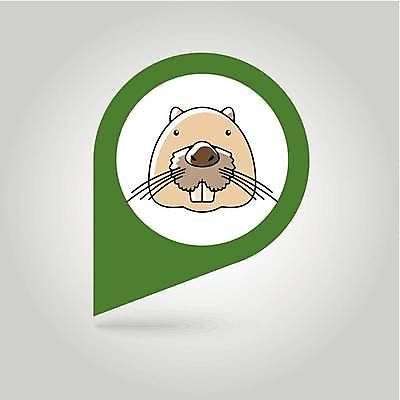 EPS 해외이미지 동물 캐릭터 얼굴 야생동물 음식 지도 일러스트 포유류 자연 표시 육류 농장 머리 식사 플랫 심볼 사인 위치 고립 비버 충고 아바타 해외일러스트 일러캐릭터 농업 식재료 신체부위 생태계 파일형식 벡터 산업 사람 이미지허브