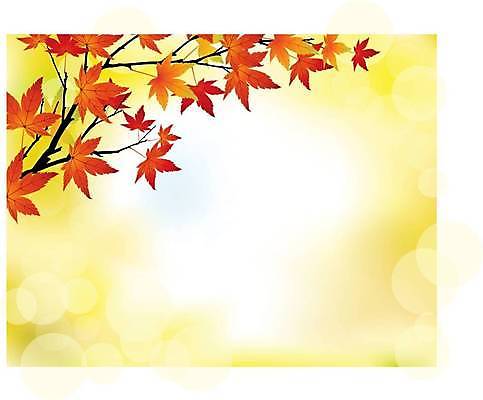 EPS 해외이미지 나무 디자인 배너 계절 선 파도 백그라운드 단풍 잎 오렌지 일러스트 자연 벽지 추상 불꽃 프레임 흑백 야외 장식 빨간색 빛 노란색 디지털 활발 가을 신선 혼합 숲 시원함 9월 묘사 심플 바이탈 섬광 슬라이드 스타일 해외일러스트 식물 바다 컬러 컨셉 무늬 과일 불 촬영기법 날짜 생태계 파일형식 벡터 이미지허브