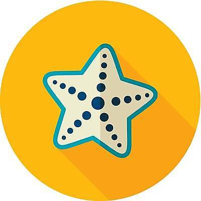 EPS 해외이미지 일러스트 불가사리 사람없음 노란색 해외일러스트 컬러 극피동물 파일형식 벡터 이미지허브