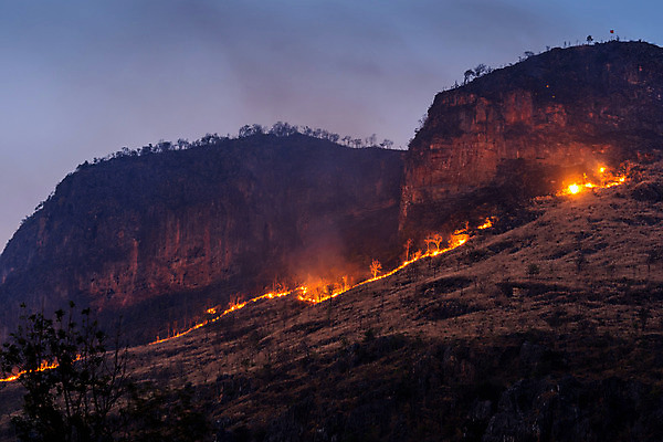 포토 JPG 해외이미지 나무 선 오렌지 자연 불 불꽃 산 건조 사람없음 야외 목재 빨간색 여름 강 환경 검은색 폭포 손상 긴급 붓 소나무 뜨거움 개울 황무지 연기 야간 숲 위험 독수리 문제 내추럴 땅바닥 복잡 생태학 재앙 해외202004 해외포토 자연요소 식물 계절 교육 컬러 컨셉 과일 재료 조류 바닥 생태계 파일형식