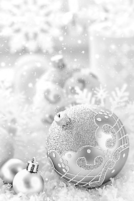 포토 JPG 해외이미지 배너 계절 크리스마스 겨울 공 벽지 휴가 새로움 기념 매달리기 선물 이벤트 사람없음 장식 빛 반짝임 축제 장식볼 흰색 나뭇가지 인사 신용카드 눈송이 우아함 은색 12월 연도 심볼 서리 노엘 제설기 폭설 해외202004 해외포토 나무 기념일 컬러 컨셉 모션 눈_날씨 금융 예절 날짜 자연재해 제설 파일형식