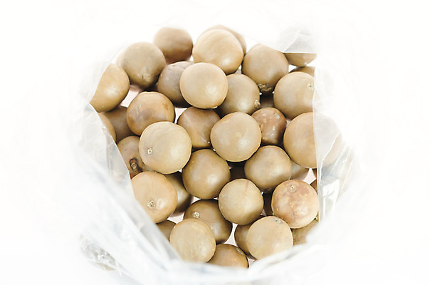 포토 JPG 해외이미지 음식 과일 재료 씨앗 사람없음 갈색 견과류 흰색 그룹 유기농 날것 내추럴 해외202004 해외포토 식물 웰빙 컬러 파일형식