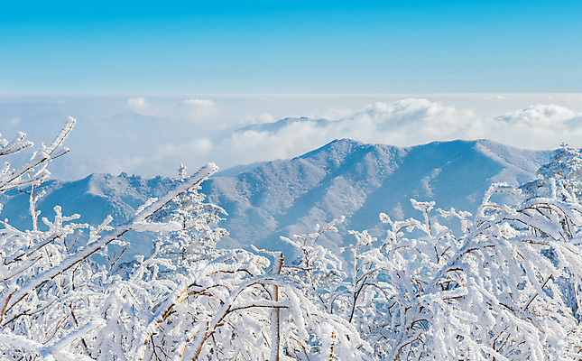 포토 JPG 해외이미지 나무 백그라운드 겨울 자연 하늘 산 서울 한국 풍경 사람없음 태양 맑음 추위 언덕 눈내림 해외202004 해외포토 자연요소 식물 계절 아시아 날씨 눈_날씨 생태계 파일형식