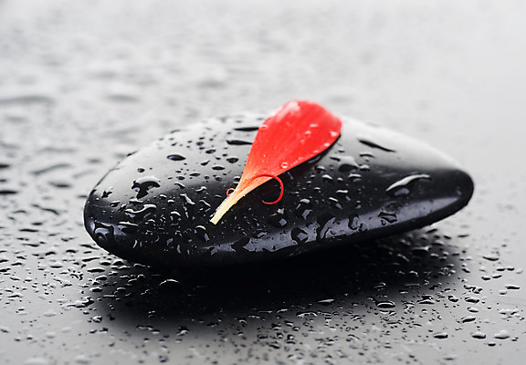 포토 JPG 해외이미지 꽃잎 꽃 백그라운드 컨셉 사람없음 빨간색 물 쌓기 검은색 스파 젖음 조약돌 마사지 매끈함 테라피 해외202004 해외포토 자연요소 식물 컬러 모션 뷰티 돌_바위 감각 파일형식