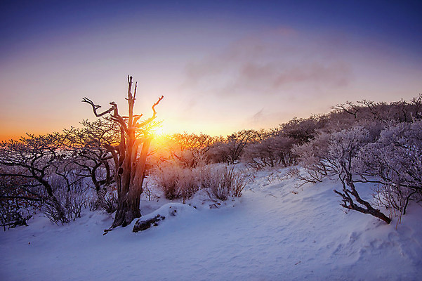 포토 JPG 해외이미지 구름 계절 아시아 겨울 자연 하늘 아침 휴가 산 서울 한국 풍경 사람없음 야외 태양 일출 일몰 추위 흰색 언덕 남쪽 웅장함 절정 눈내림 해외202004 해외포토 주간 자연요소 나라 컬러 눈_날씨 노을 방향 생태계 파일형식