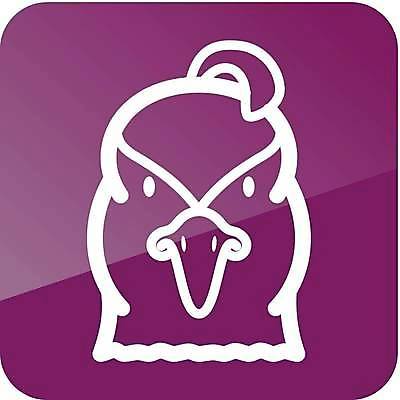 EPS 해외이미지 동물 디자인 교육 얼굴 야생동물 음식 일러스트 자연 조류 육류 컬러풀 농장 머리 식사 놀이방 플랫 작음 심볼 사인 고립 메추리 아바타 해외일러스트 컬러 농업 식재료 신체부위 크기 생태계 파일형식 벡터 이미지허브