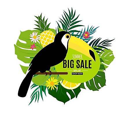 EPS 해외이미지 디자인 배너 일러스트 사람없음 연두색 여름 쇼핑 세일 빅세일 열대잎 토코투칸 트로피컬아트 해외일러스트 계절 잎 조류 초록색 그림 파일형식 벡터 이미지허브