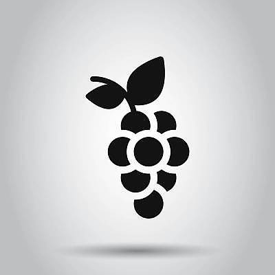 EPS 해외이미지 식물 디자인 열매 실루엣 음식 잎 과일 일러스트 탁자 포도 디저트 매달리기 건강 그래픽 농장 와인 신선 플랫 달콤 다발 유기농 날것 윤곽 포도밭 포도나무 내추럴 고립 메를로 숙성 입가심 해외일러스트 웰빙 가구 밭 농업 모션 주류 촬영기법 맛 과일나무 파일형식 벡터 나무 산업 음료 생활용품 컨셉 오브젝트 이미지허브