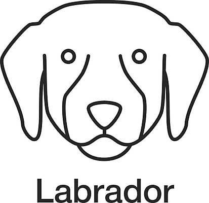 EPS 해외이미지 클립아트 동물 디자인 얼굴 선 컨셉 일러스트 가이드 포유류 자연 실험 미술 반려동물 픽토그램 머리 웹 총 도움 플랫 개 리트리버 강아지 래브라도리트리버 심볼 사인 그림 사냥 윤곽 주둥이 수의사 송곳니 고립 기르기 얇은 유래 해외일러스트 직업 무기 인터넷 문화예술 신체부위 의사 치아 생태계 돌봄 파일형식 벡터 이미지허브