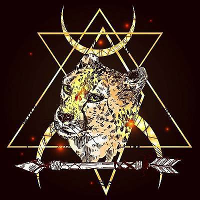 EPS 해외이미지 동물 디자인 얼굴 야생동물 패턴 일러스트 포유류 아프리카 자연 추상 화살 그래픽 머리 고양이 힘 흰색 점 황금 우아함 인쇄 위험 만화 스케치 문신 심볼 사인 싱글 그림 육식동물 마법 표범 고립 엘리먼트 해외일러스트 나라 컬러 컨셉 무늬 미술 신체부위 반려동물 생태계 파일형식 벡터 이미지허브