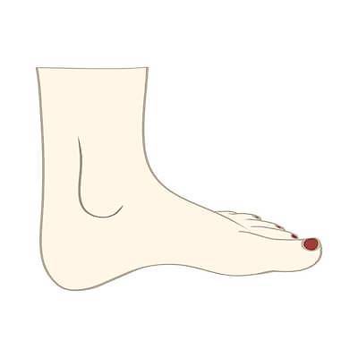 EPS 해외이미지 템플릿 디자인 여자 남자 신발 신체 일러스트 부분 손가락 해부 맨발 건강 사람 치료 약 갈색 유행 스파 화장품 흰색 못 손톱관리 피부 매니큐어 테라피 고립 돌봄 양발 위생관리 해외일러스트 손 컬러 의학 모션 발 관리 신체부위 뷰티 공구 네일아트 파일형식 벡터 이미지허브