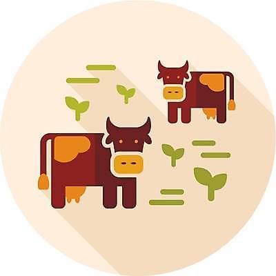 EPS 해외이미지 동물 밭 농업 일러스트 자연 뿔 육류 풍경 초원 초록색 농장 농경지 가축 목장 소고기 우유 자유 소 심볼 사인 황소 장면 해외일러스트 산업 컬러 컨셉 식재료 포유류 유제품 생태계 파일형식 벡터 이미지허브