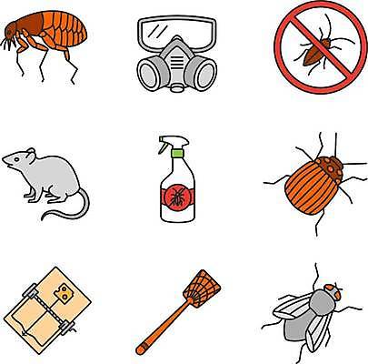 EPS 해외이미지 동물 디자인 곤충 컨셉 일러스트 주택 반려동물 세트 픽토그램 웹 해충 벌레 쥐 설치류 만화 딱정벌레 가득함 심볼 서비스 그림 팩 올가미 미끼 고립 그만 제어 콜로라도 항목 스타일 해외일러스트 인터넷 건물 미국 화장품 파일형식 벡터 이미지허브