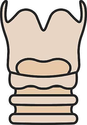 EPS 해외이미지 클립아트 디자인 과학 컨셉 신체 일러스트 부분 해부 건강 사람 내부 상자 픽토그램 약 웹 오르간 호흡기관 만화 가득함 심볼 그림 생물학 시스템 목소리 고립 돌봄 바이오 연골 스타일 해외일러스트 교육 인터넷 의학 모션 건반악기 장기 파일형식 벡터 악기 건반 음악 문화예술 이미지허브