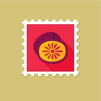 EPS 해외이미지 디자인 일러스트 키위 사람없음 반쪽 슬라이스 우표 해외일러스트 과일 파일형식 벡터 이미지허브