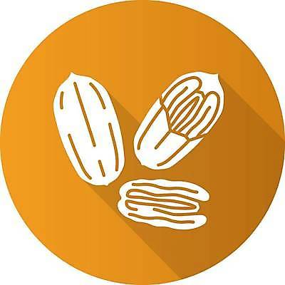 EPS 해외이미지 클립아트 식물 디자인 음식 컨셉 오렌지 과일 일러스트 재료 건강 요리 씨앗 픽토그램 웹 견과류 양념 조미료 플랫 맛 심볼 향신료 오브젝트 사인 유기농 향기 아로마 향료 상형문자 엘리먼트 피칸 항목 해외일러스트 문자 웰빙 인터넷 냄새 향미료 파일형식 벡터 이미지허브