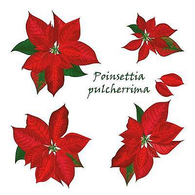 EPS 해외이미지 식물 디자인 꽃 별 종이 꽃다발 백그라운드 잎 크리스마스 꽃무늬 패턴 일러스트 자연 벽지 미술 이벤트 장식 빨간색 세트 유행 축제 봄 수확 골동품 벚꽃 직물 화려 우아함 수집 심볼 그림 복고 화단 포인세티아 빅토리아 엘리먼트 포장소품 회복 스타일 해외일러스트 자연요소 계절 기념일 컬러 컨셉 무늬 농업 포장 문화예술 오브젝트 생태계 포장재료 파일형식 벡터 이미지허브