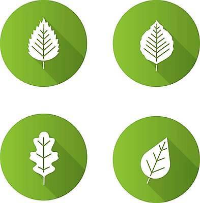 EPS 해외이미지 클립아트 나무 식물 디자인 계절 공원 컨셉 잎 일러스트 자연 여름 세트 픽토그램 환경 웹 봄 가을 신선 플랫 숲 심볼 오브젝트 사인 에코 유기농 생물학 자작나무 내추럴 미루나무 바이오 상형문자 생태학 항목 활자 스타일 해외일러스트 문자 웰빙 공공시설 교육 인터넷 생태계 활자판 파일형식 벡터 이미지허브
