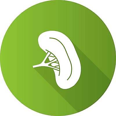 EPS 해외이미지 클립아트 디자인 과학 컨셉 신체 일러스트 부분 해부 사람 내부 초록색 픽토그램 약 웹 오르간 플랫 심볼 사인 생물학 시스템 마디 정맥 면역력 상형문자 엘리먼트 지라 항목 해외일러스트 문자 교육 컬러 인터넷 의학 건반악기 혈관 파일형식 벡터 이미지허브