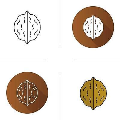 EPS 해외이미지 나무 식물 디자인 계절 선 음식 컨셉 과일 일러스트 자연 건강 씨앗 세트 환경 웹 견과류 껍질 가을 플랫 숲 가득함 심볼 사인 그림 에코 유기농 생물학 윤곽 호두 비타민 내추럴 고립 단백질 바이오 상형문자 얇은 활자 개암 해외일러스트 문자 웰빙 교육 열매 인터넷 생태계 영양소 활자판 파일형식 벡터 이미지허브