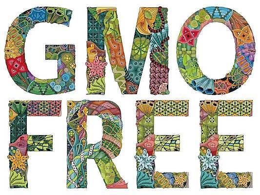 EPS 해외이미지 일러스트 타이포그라피 사람없음 단어 화려 젠탱글 GMO 해외일러스트 문자 컨셉 유전자변형 파일형식 벡터 이미지허브