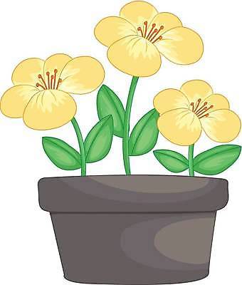 EPS 해외이미지 식물 꽃잎 꽃 클리핑패스 잎 일러스트 실내 3 노란색 정원 꽃술 냄비 만화 오브젝트 흰배경 데이지 고립 꽃수술 심기 해외일러스트 컬러 백그라운드 모션 내부 흰색 솥 파일형식 벡터 이미지허브