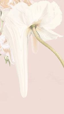 EPS 해외이미지 디자인 꽃 분홍색 백그라운드 일러스트 추상 사람없음 봄 해외일러스트 식물 계절 컬러 무늬 파일형식 벡터 이미지허브