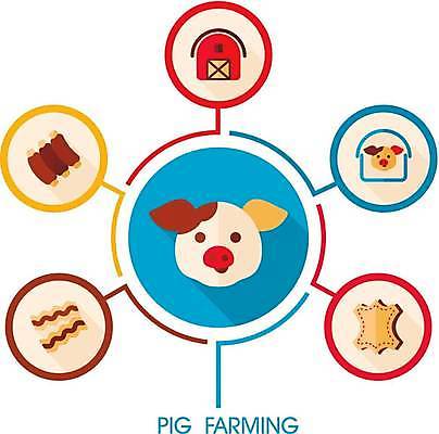 EPS 해외이미지 두마리 일러스트 육류 사람없음 농장 원형 가죽 베이컨 양돈장 해외일러스트 도형 2 농업 식재료 돼지고기 축사 파일형식 벡터 이미지허브