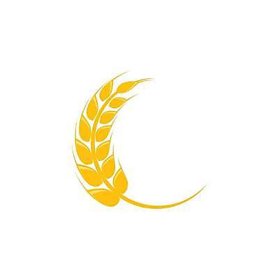 EPS 해외이미지 식물 디자인 음식 빵 농업 일러스트 자연 밥 씨앗 농작물 농장 수확 성장 낟알 시리얼 밀 심볼 사인 보리 귀 내추럴 고립 밭일 엘리먼트 호밀 해외일러스트 산업 곡류 신체부위 생태계 파일형식 벡터 이미지허브