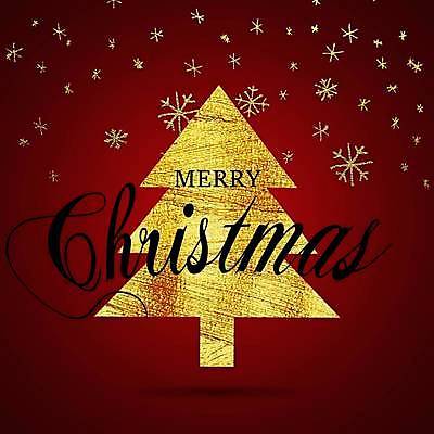 EPS 해외이미지 모양 나무 템플릿 손 디자인 행복 별 선 백그라운드 크리스마스 겨울 일러스트 추상 휴가 새로움 미술 장식 빛 검은색 페인트 덮개 축하 인사 붓 소나무 신용카드 황금 스케치 연도 심볼 그림 질감 서리 엽서 전나무 고립 그런지 엘리먼트 타격 스타일 해외일러스트 자연요소 식물 계절 기념일 감정 컬러 컨셉 무늬 모션 문화예술 신체부위 금융 뚜껑 예절 편지 파일형식 벡터 이미지허브