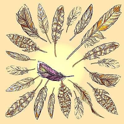 EPS 해외이미지 디자인 일러스트 사람없음 장식 화려 스케치 깃털 해외일러스트 컨셉 미술 파일형식 벡터 이미지허브