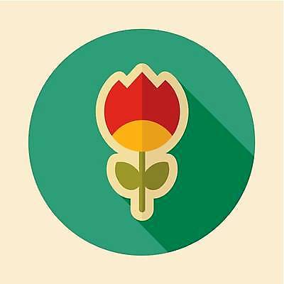 EPS 해외이미지 꽃 일러스트 사람없음 초록색 해외일러스트 식물 컬러 파일형식 벡터 이미지허브