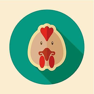 EPS 해외이미지 한마리 일러스트 사람없음 농장 원형 수탉 해외일러스트 도형 1 농업 닭 수컷 파일형식 벡터 이미지허브