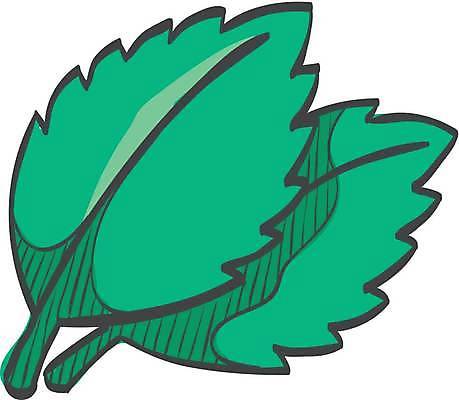 EPS 해외이미지 식물 디자인 음식 잎 채소 일러스트 재료 건강 요리 그래픽 초록색 픽토그램 주방 정원 검은색 웹 샐러드 흰색 신선 양념 맛 낙서 인쇄 허브 심볼 향신료 사인 그림 유기농 날것 향기 산딸기 손그림 향 바질 내추럴 엘리먼트 채식주의자 맛있는 해외일러스트 웰빙 컬러 컨셉 인터넷 과일 채식 냄새 향미료 파일형식 벡터 이미지허브