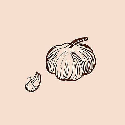 EPS 해외이미지 식물 손 디자인 음식 백그라운드 농업 채소 일러스트 재료 포장 전구 자연 건강 마늘 요리 그래픽 세트 식당 정원 보라색 수확 흰색 신선 양념 맛 스케치 먹기 허브 향신료 사인 메뉴 그림 유기농 매움 날것 향 비타민 내추럴 고립 숙성 채식주의자 해외일러스트 웰빙 산업 컬러 컨셉 모션 미술 신체부위 상점 생태계 채식 영양소 향미료 파일형식 벡터 이미지허브