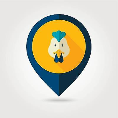 EPS 해외이미지 한마리 일러스트 사람없음 농장 원형 위치 수탉 해외일러스트 도형 1 농업 닭 수컷 파일형식 벡터 이미지허브