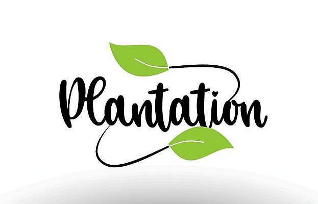 EPS 해외이미지 모양 템플릿 손 디자인 백그라운드 잎 일러스트 회사 텍스트 추상 타이포그라피 초록색 단어 농장 기록 신용카드 심볼 신분 엘리먼트 활자 레터링 해외일러스트 식물 문자 컬러 무늬 농업 비즈니스 신체부위 금융 활자판 파일형식 벡터 이미지허브