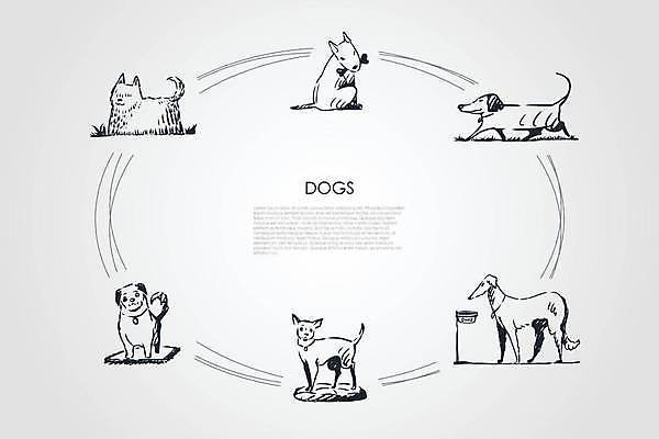 EPS 해외이미지 동물 디자인 행복 음식 컨셉 일러스트 포유류 놀이 뼈 이야기 앉기 그래픽 장식 반려동물 세트 걷기 그룹 개 강아지 놀이터 연결 스케치 테리어 래브라도리트리버 먹기 심볼 오브젝트 사인 손그림 불독 치와와 송곳니 고립 기르기 유래 해외일러스트 감정 모션 미술 리트리버 치아 돌봄 파일형식 벡터 이미지허브