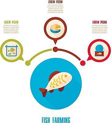 EPS 해외이미지 한마리 일러스트 비즈니스 어류 어업 사람없음 인포그래픽 정보 통조림 양식장 양식업 목차 해외일러스트 1 산업 수중동물 시설 파일형식 벡터 이미지허브
