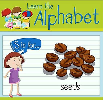 EPS 해외이미지 전신 알파벳 영어 여자 남자 어린이 말풍선 일러스트 씨앗 영어교육 서기 소녀 소년 여러명 상반신 원두 S 단어공부 단어카드 어린이만 해외일러스트 식물 문자 교육 커피 다수 모션 사람 학습 파일형식 벡터 단어장 이미지허브