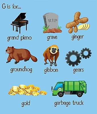 EPS 해외이미지 동물 알파벳 영어 두마리 일러스트 영어교육 사람없음 단어 세트 트럭 무덤 황금 G 비석 톱니바퀴 그랜드피아노 생강 쓰레기차 해외일러스트 문자 교육 2 채소 자동차 피아노 파일형식 벡터 이미지허브