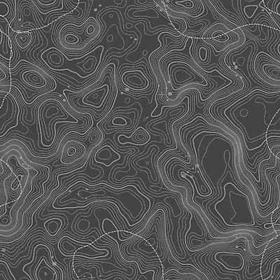 EPS 해외이미지 선 백그라운드 지도 패턴 곡선 일러스트 자국 모션 추상 산 풍경 그래픽 캠핑 하이킹 에너지 수확 정상 매끈함 배열 방향 유기농 질감 서식 윤곽 지형 철사 지역 안심 기하학 전설 지리 테크노 해외일러스트 웰빙 무늬 농업 레저 육류 감각 파일형식 벡터 이미지허브