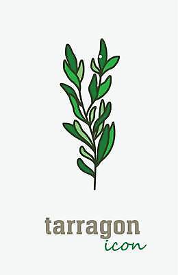 EPS 해외이미지 일러스트 타이포그라피 사람없음 초록색 풀잎 해외일러스트 문자 컬러 잎 풀_식물 파일형식 벡터 이미지허브